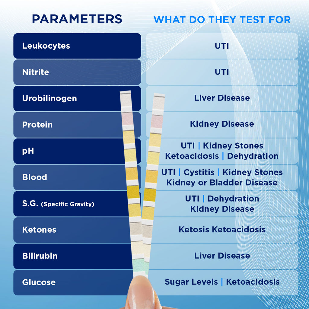 10 parameter urine test strips Diabetes, UTI, pH & more 5 test pack