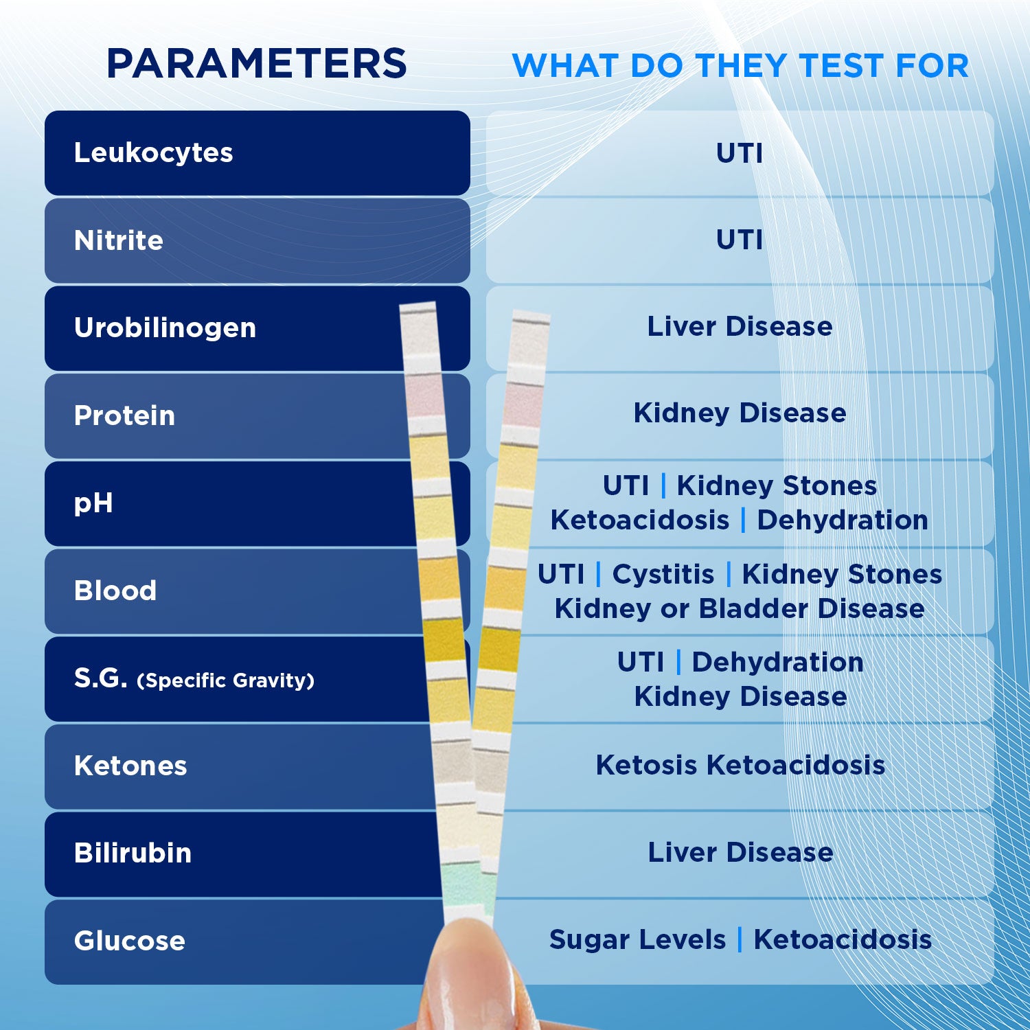 10 parameter urine test strips Diabetes, UTI, pH & more 5 test pack