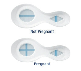 1 x Clearblue Pregnancy Test Combo Pack Double Check & Date Testing Kit